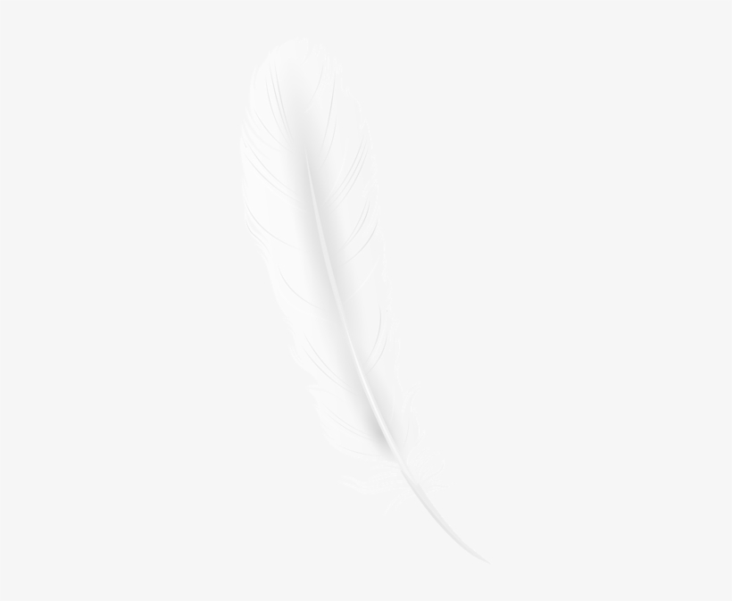 White Feather Png Clip Art Image - Feather, transparent png download