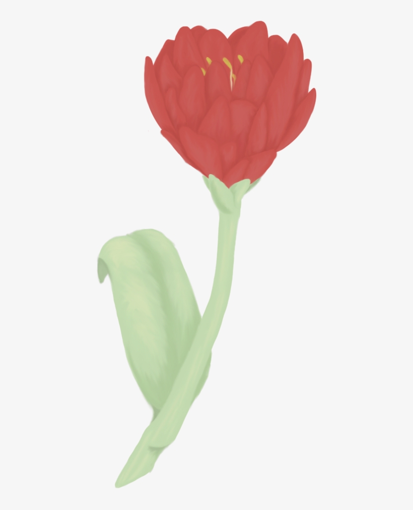 Drawing Tulips Turned Flower - Drawing, transparent png download