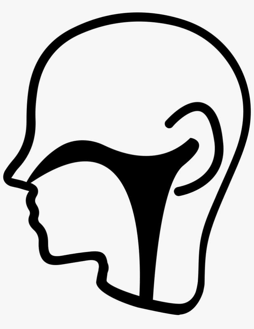 Ear Nose Throat Section Svg Png Icon Free Download Ear Nose Throat
