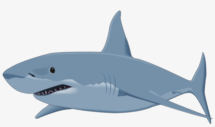 Banner Transparent Library Png Image Best Web - Shark Clipart, transparent png download