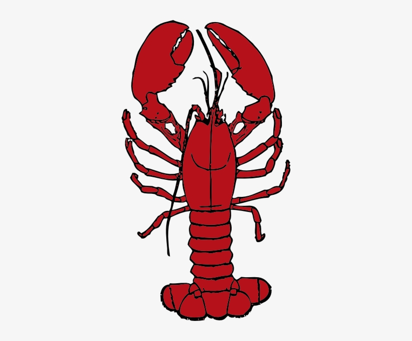 Shrimp Clipart Crustacean - Lobster Clipart Png, transparent png download