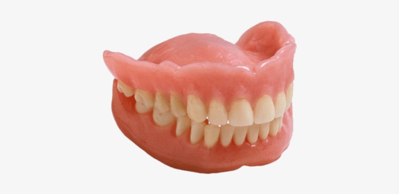 Closed False Teeth Side View - Super Duper Artic Photos T Fun Deck Cards, transparent png download