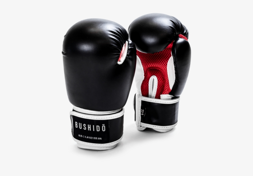 Kai Youth Boxing Gloves - Boxing, transparent png download