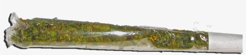 Png Realness - Portable Network Graphics, transparent png download