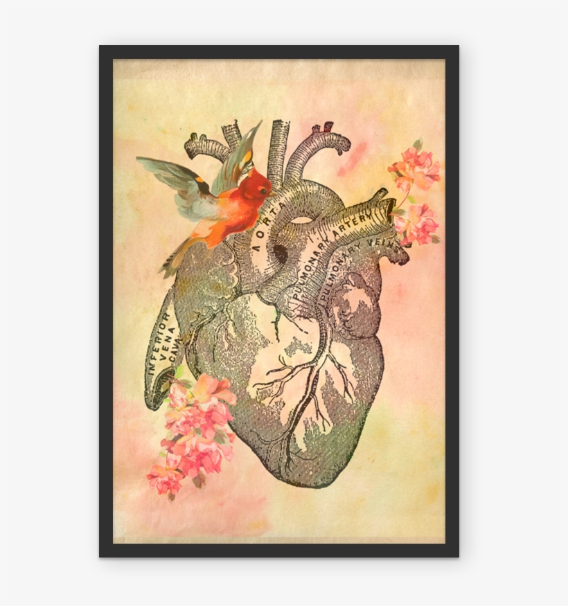 Anatomical Heart - Black Sticker, transparent png download