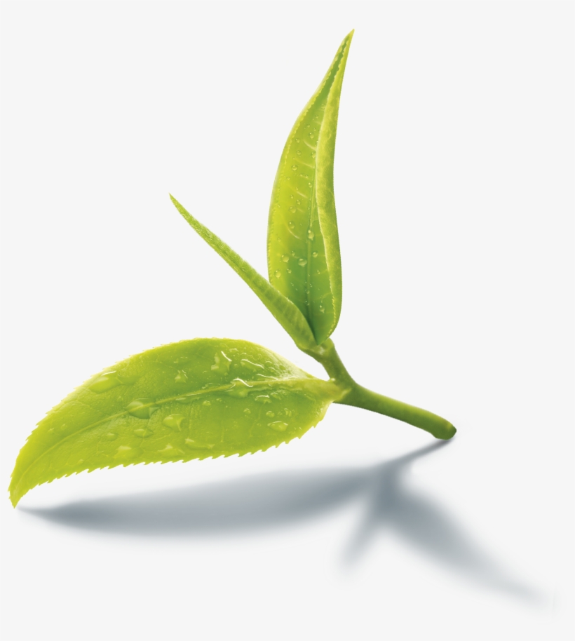Thie Logo - Aysun Intense White 2 In 1 Facial Scrub 250 Gm, transparent png download