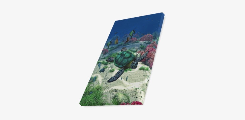 Sea Turtle Canvas Print - Green Sea Turtle, transparent png download