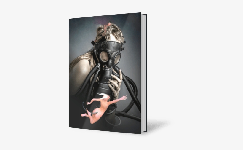 The Book Of The Fallen By Fraser Parker - Book, transparent png download