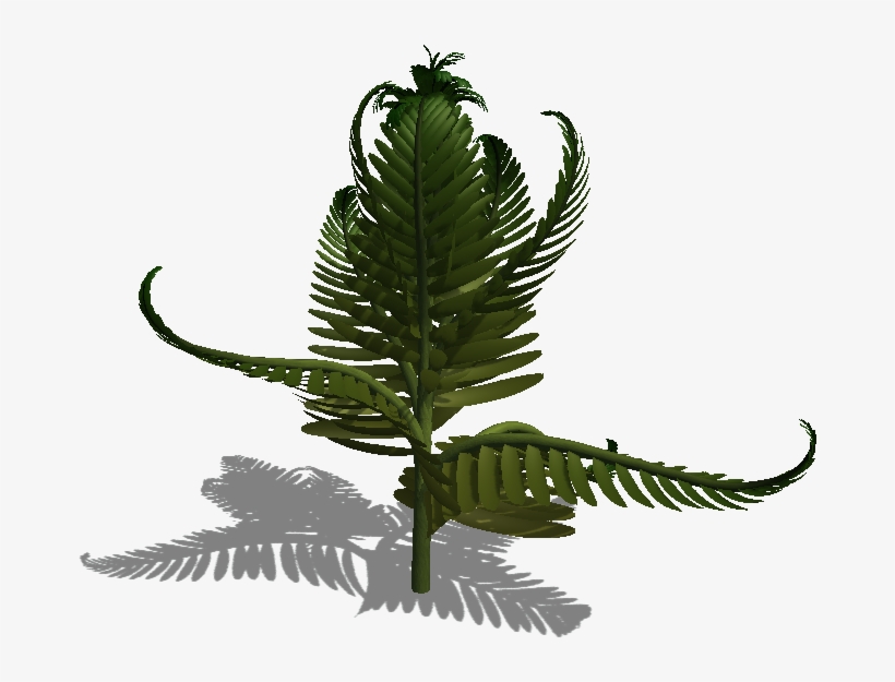 Fern Leaf Colours - Fern Leaf Png Transparent, transparent png download