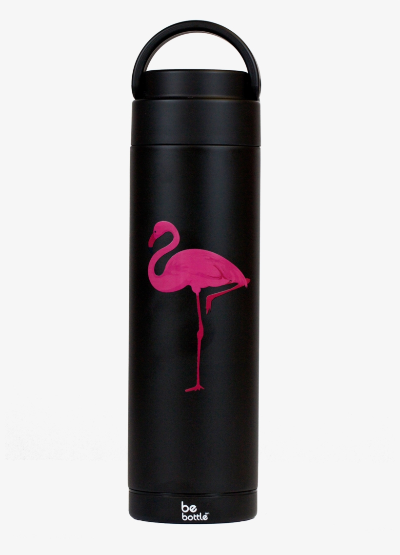 Just Black Flamingo - Greater Flamingo, transparent png download
