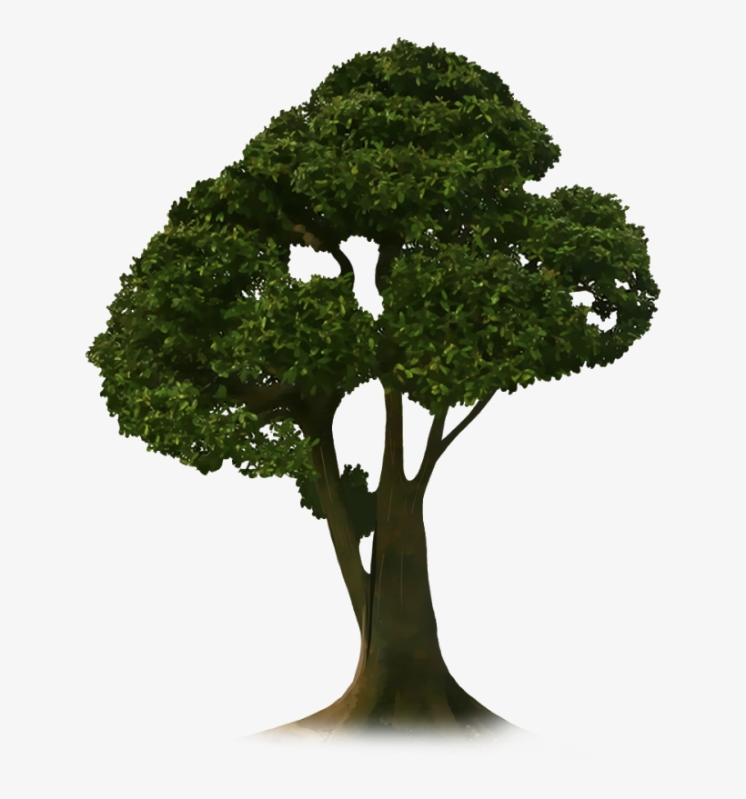Crop Tree Png - Studio Flower Pot Png Hd, transparent png download