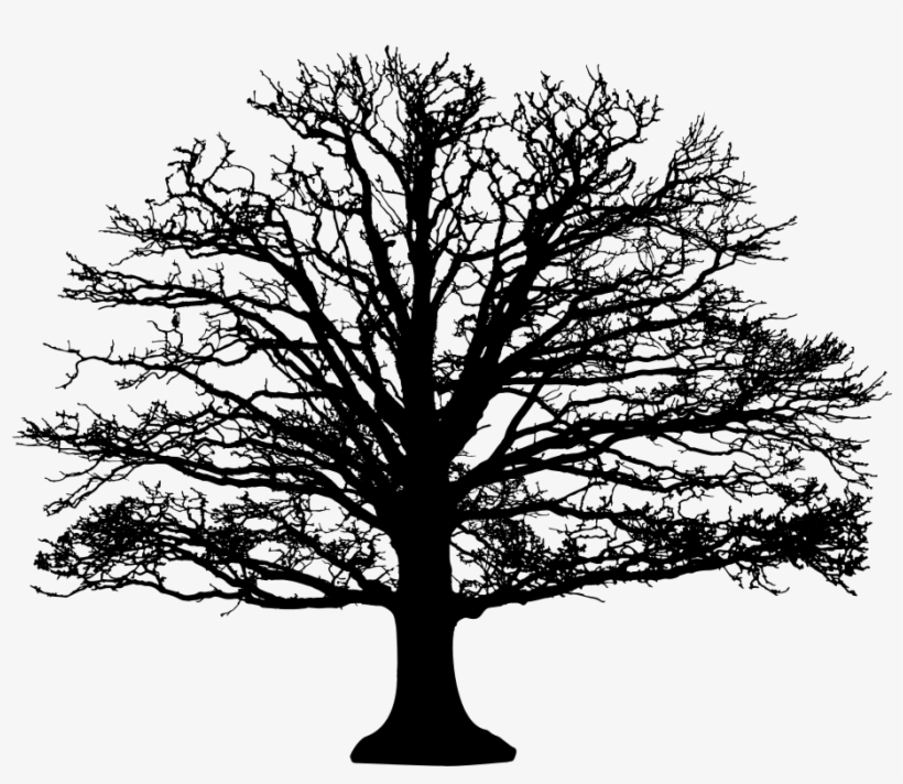 5'x7'area Rug, transparent png download