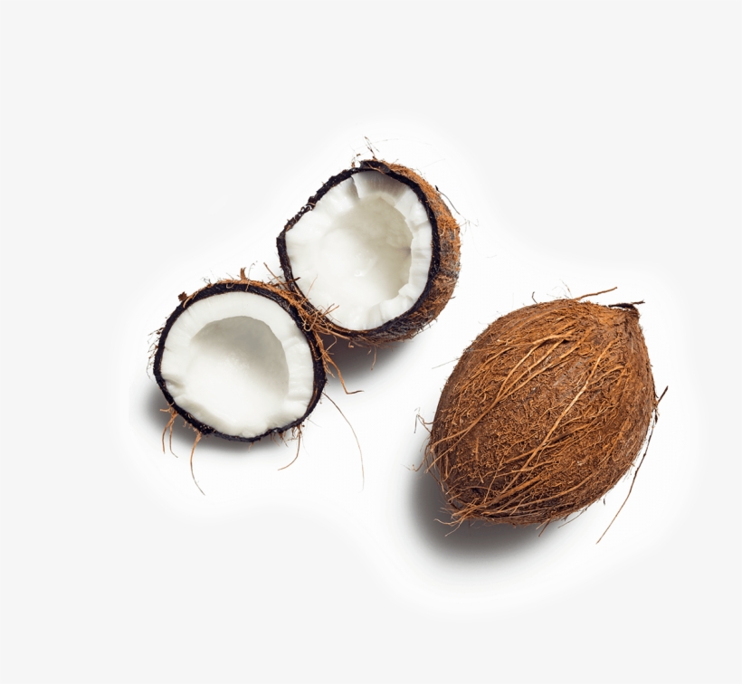 Coconut - Coconut Oil, transparent png download