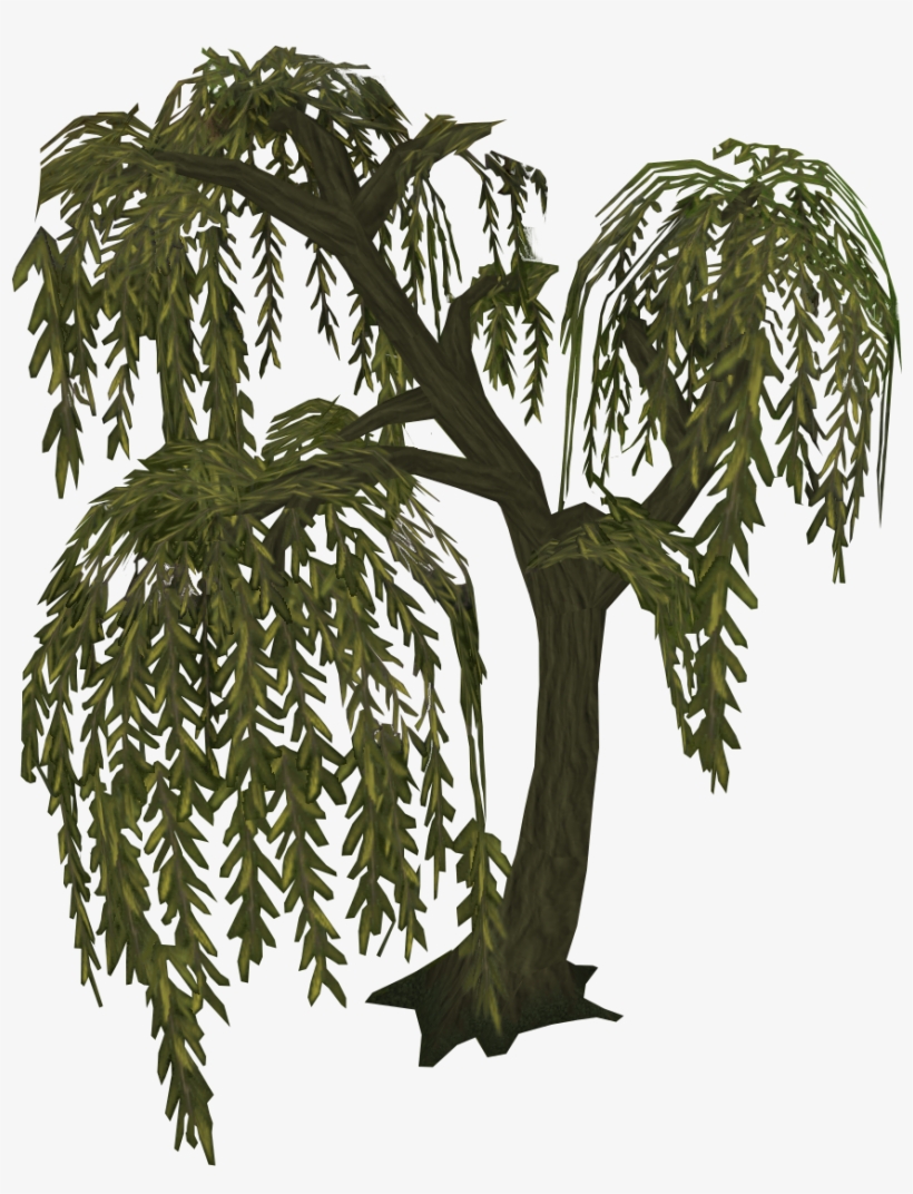 What A Willow Tree Looked Like - Cb Edits Png Tree, transparent png download