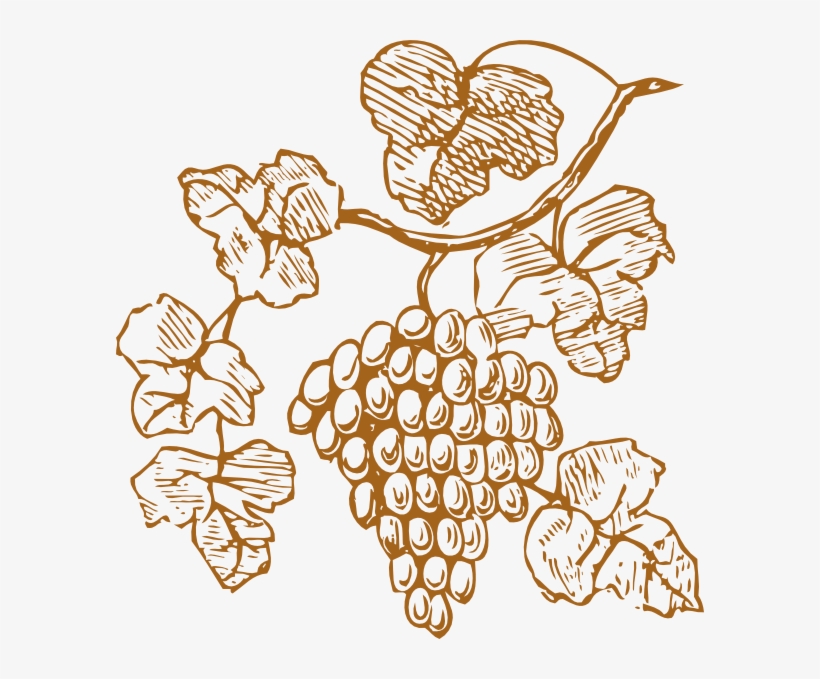 Golden Grapes Clip Art - Gold Grapes Clipart, transparent png download