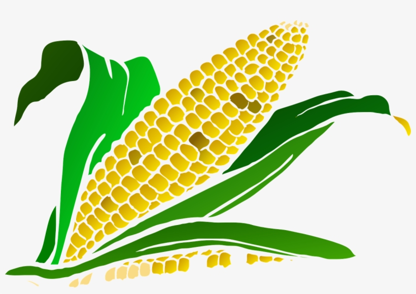 Corn Png Clipart - Stanton Corn Festival, transparent png download