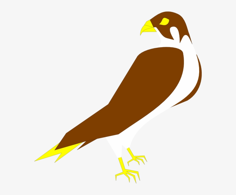 Falcon Clip Art - Peregrine Falcon Clipart, transparent png download