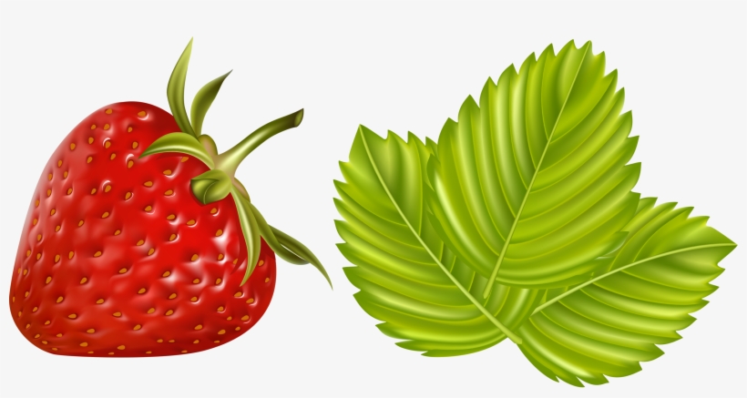 Фотки Watermelon, Pineapple, Cherry, Strawberry, Fruits - Strawberry, transparent png download