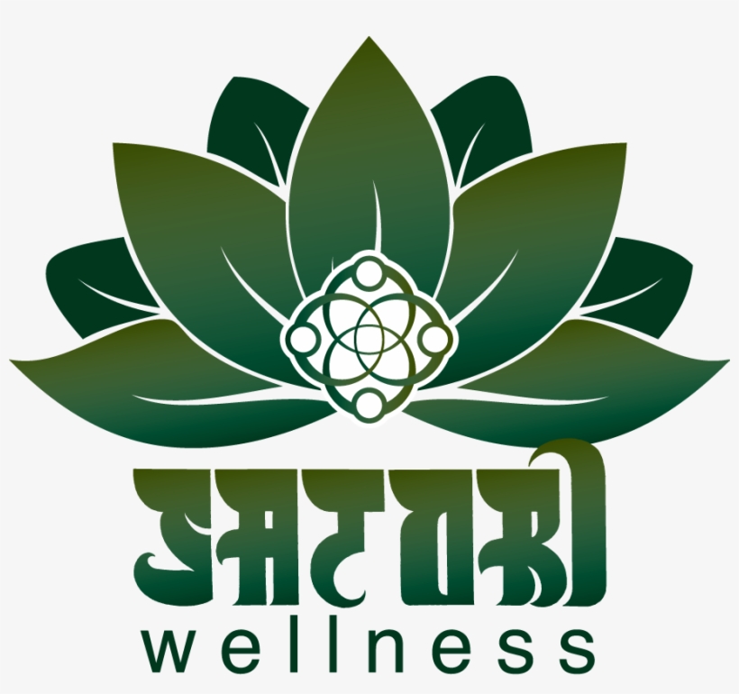 Satori - Asian American Resource Center Austin, transparent png download