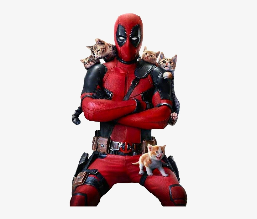 Png Deadpool - Deadpool Kittens, transparent png download