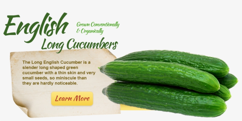 English-cucumber - Cucumber, transparent png download