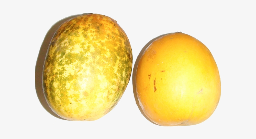 More Views - Cucumber, transparent png download