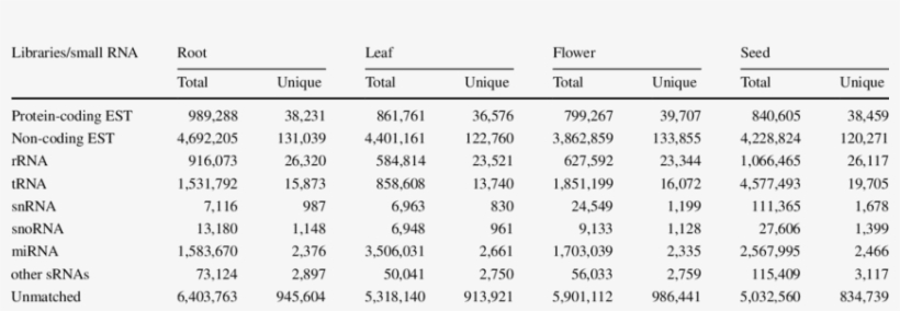 Distribution Of Unique Reads In The Sequenced P - Number, transparent png download
