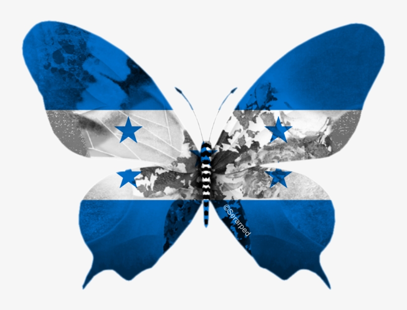 That Come From Honduras, A Country In Central America - Turkish Flag In Butterfly, transparent png download