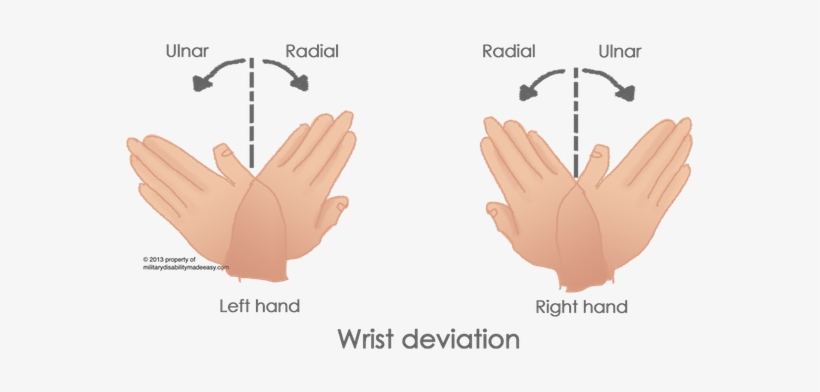 Dorsiflexion And Plantar Flexion Unity Companies