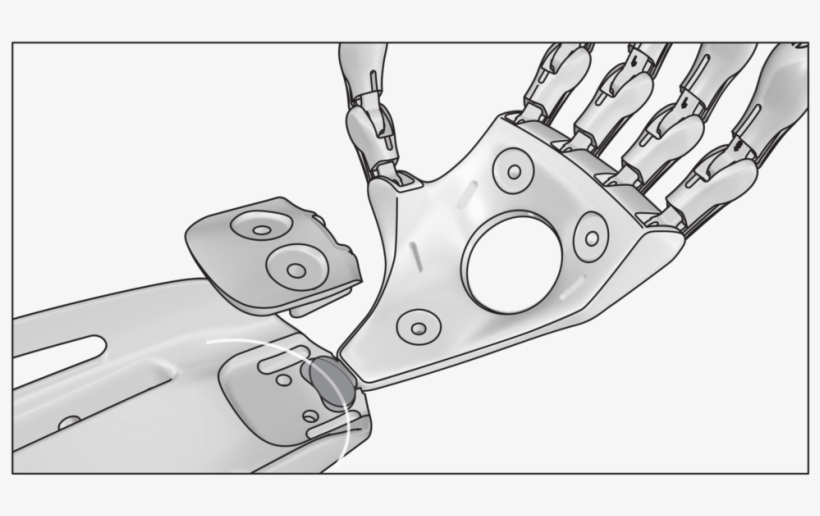 Wrist Movement2 - Wrist, transparent png download