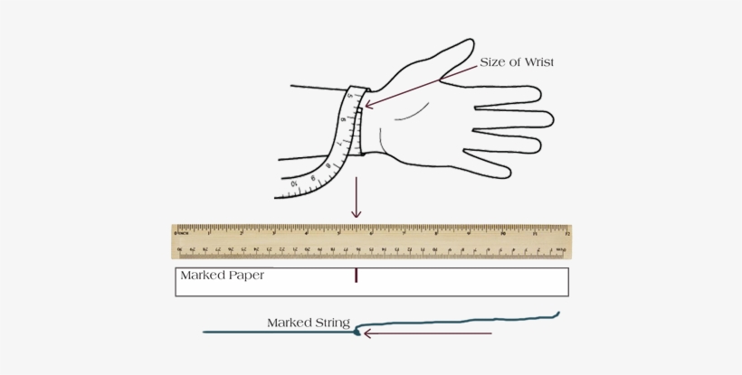 Wrist-size - Cách Đo Vòng Tay Pandora, transparent png download