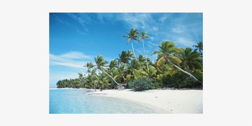 Rough Science Series 5: Zanzibar Science, transparent png download