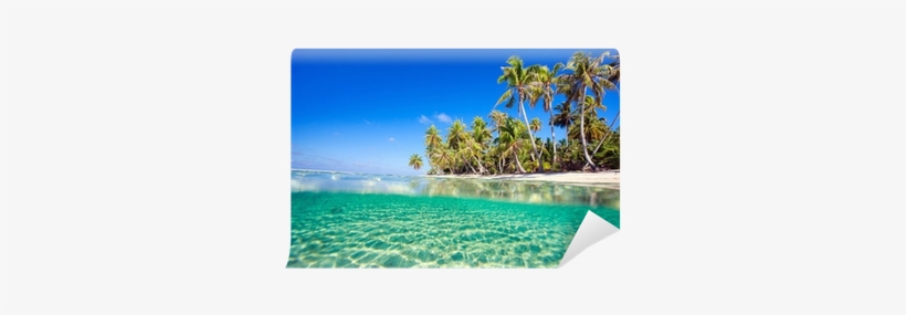 Beautiful Tropical Island At Tikehau A Pillow Case, transparent png download