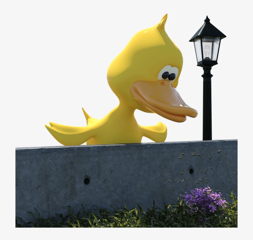 Duck, transparent png download