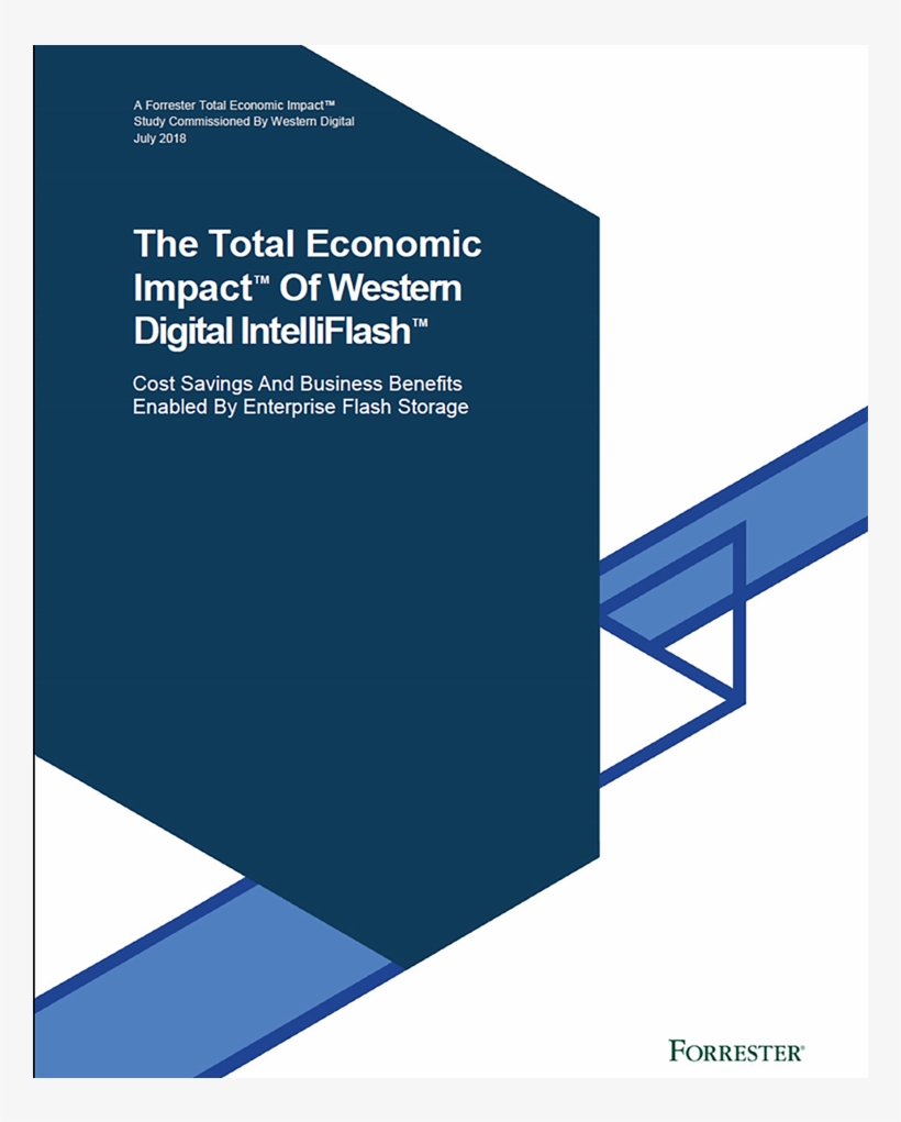 Roi In Less Than 3 Months - Total Economic Impact ™ Of Medallia Experience Cloud, transparent png download