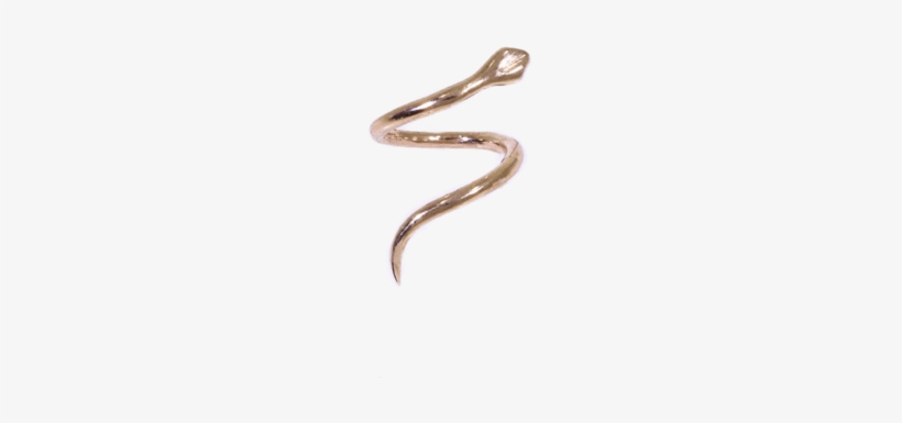 9ct Helix Snake - Slender Blind Snake, transparent png download