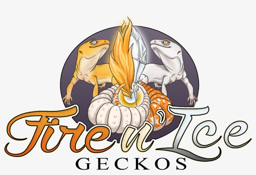 Welcome To Fire N' Ice Geckos - Gecko, transparent png download