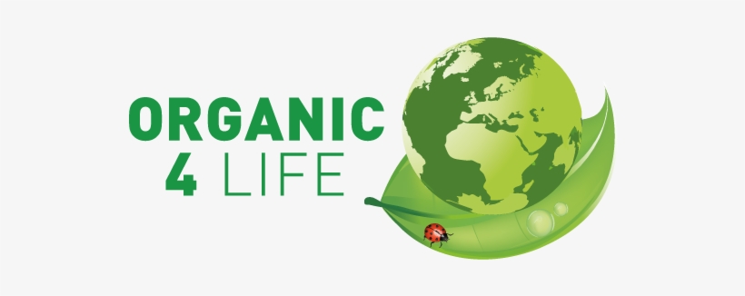 World Map, transparent png download