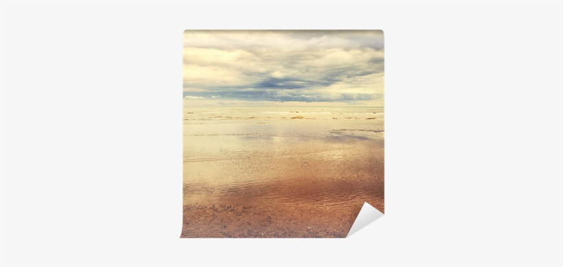 Marine Art, transparent png download