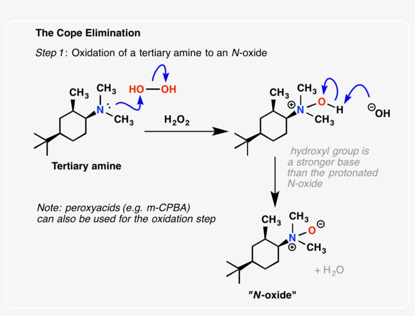 In The First Part Of This Process, The Amine Attacks - Diagram, transparent png download