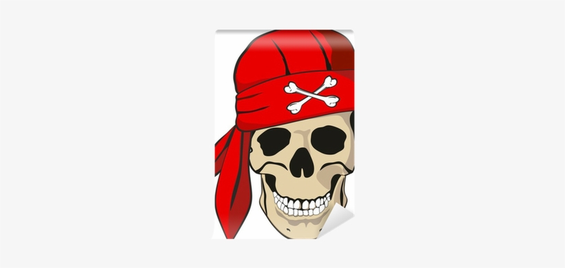 Skull, transparent png download