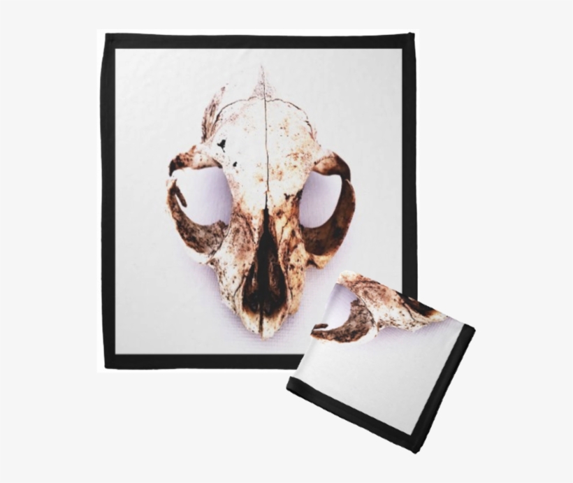Squirrel Skull Drop Earrings, transparent png download