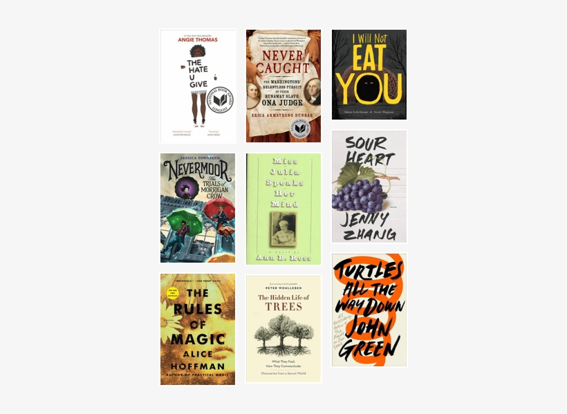 Turtles All The Way Down By John Green, transparent png download