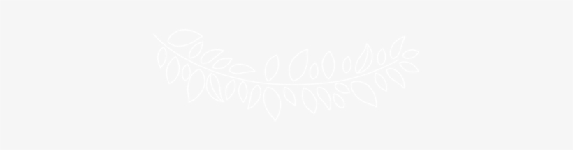 Mchalkboard Fcpx Plugin - Instagram Logo White Png, transparent png download