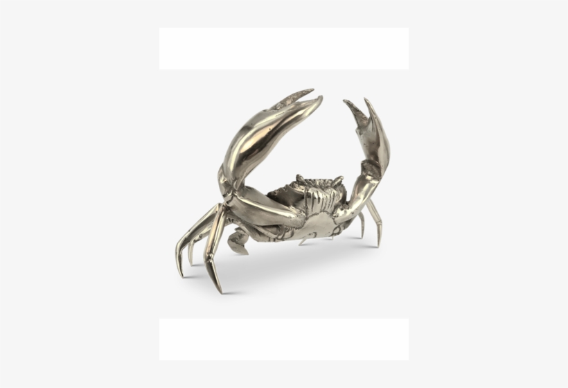 Mr Pinchy Sea Crab - Crab Claw Angles, transparent png download