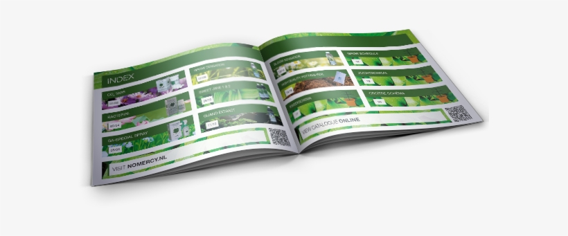 Previousnext - Brochure, transparent png download