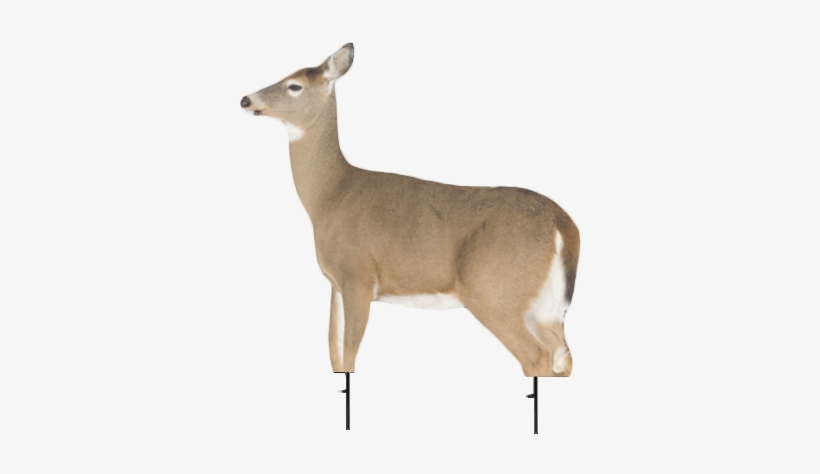 Montana Decoy Dreamy Doe - Montana Decoy Dream Team Whitetail Buck And Doe Decoy, transparent png download