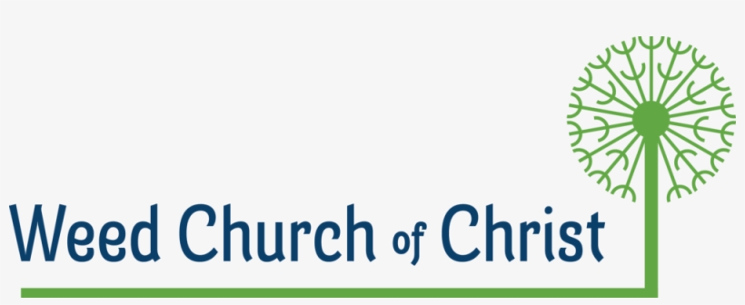 What Is Going On With The Church Of Cannabis - Church Of Christ, transparent png download