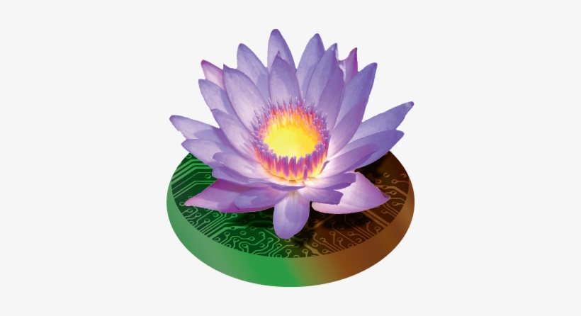 Lotusdesk Lotusdesk Logo - Five Steps To Enlightenment, transparent png download