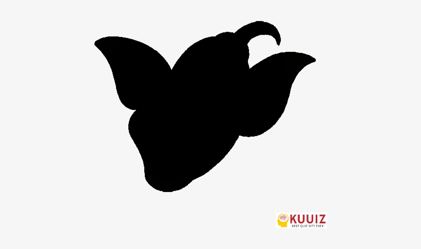 Who's That Pokémon Victreebel - Weepinbell Who's That Pokemon, transparent png download